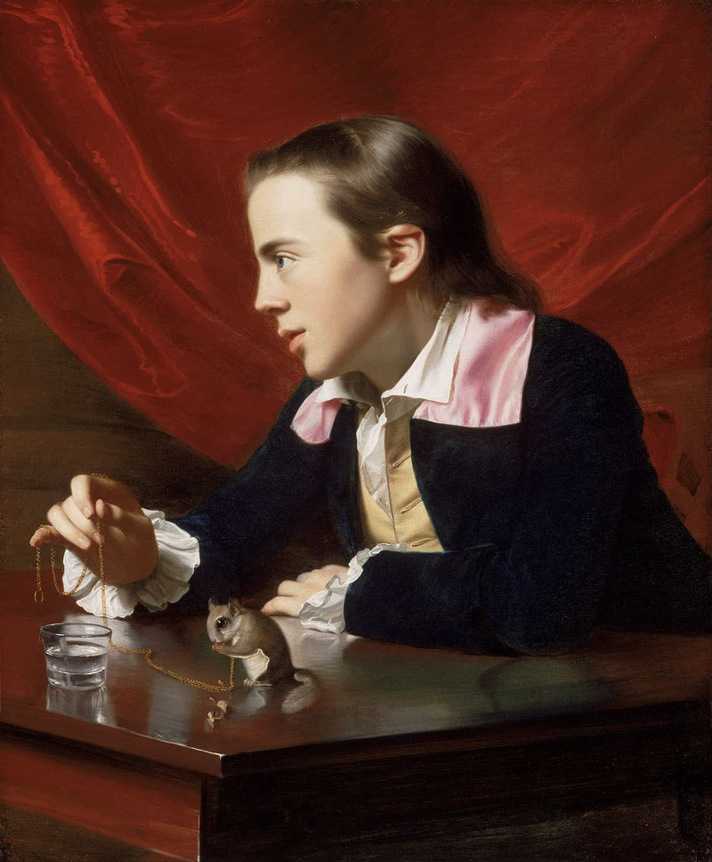 A Boy With A Flying Squirrel Henry Pelham by John Singleton Copley
