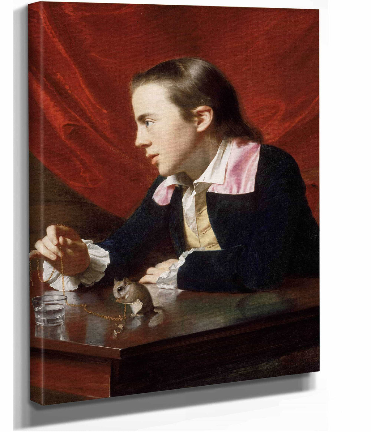 A Boy With A Flying Squirrel Henry Pelham by John Singleton Copley