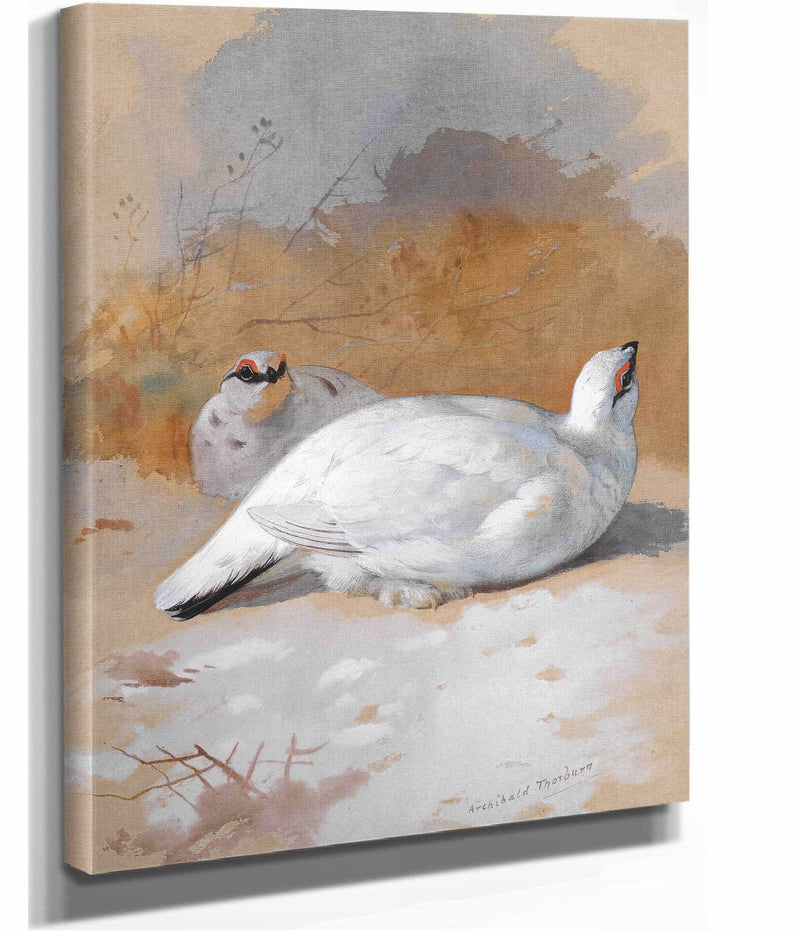 A Brace Of Ptarmigan In The Snow by Archibald Thorburn