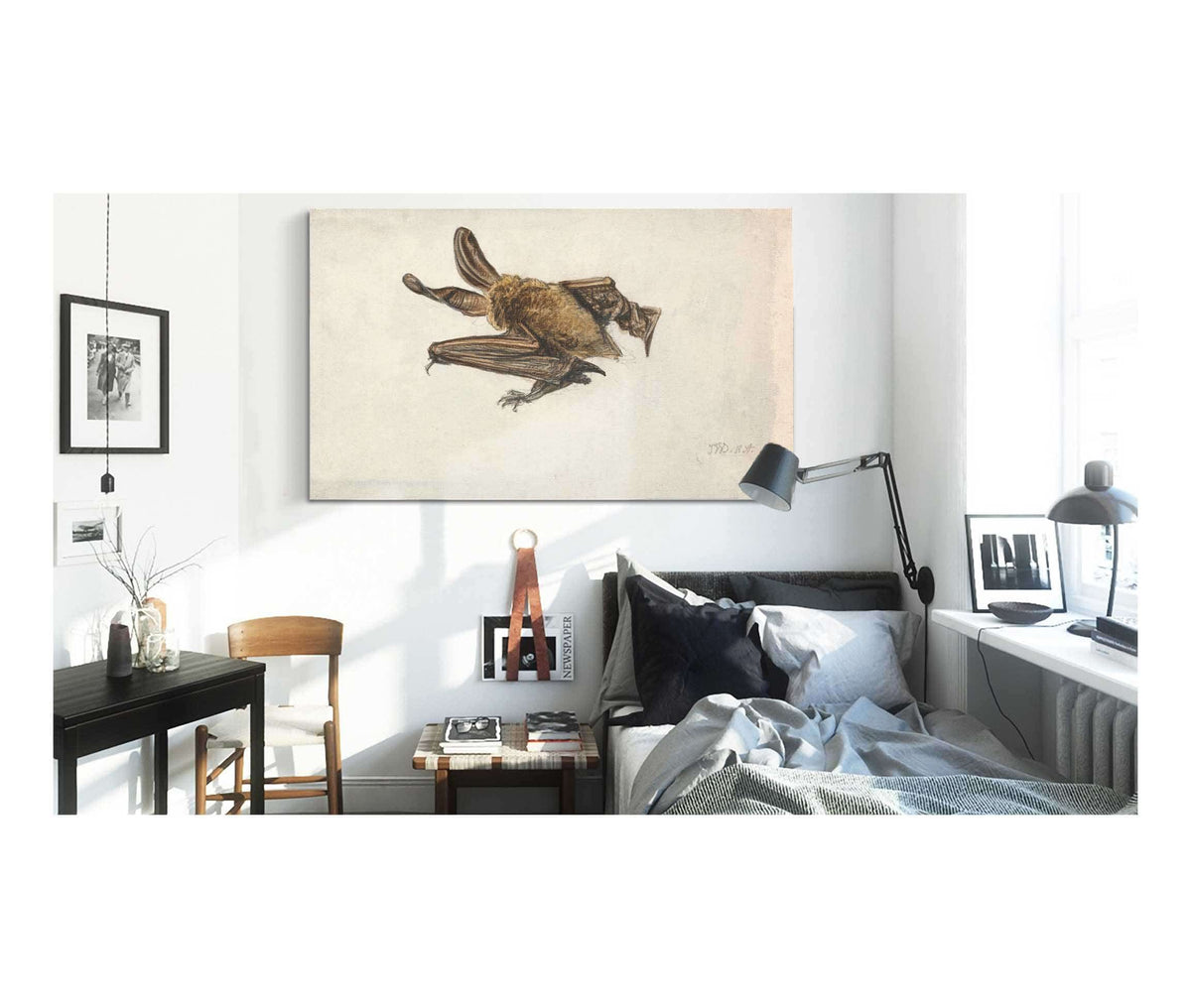 A Brown Long Eared Bat Plecotus Auritus by James Ward