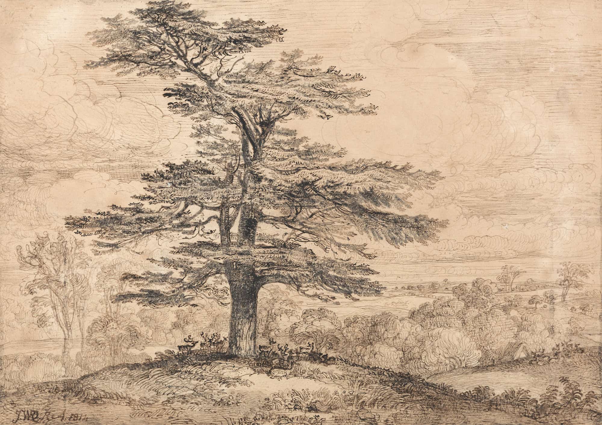 A Cedar On A Rise With A Herd Of Deer Grouped Beneath Its Shade by James Ward
