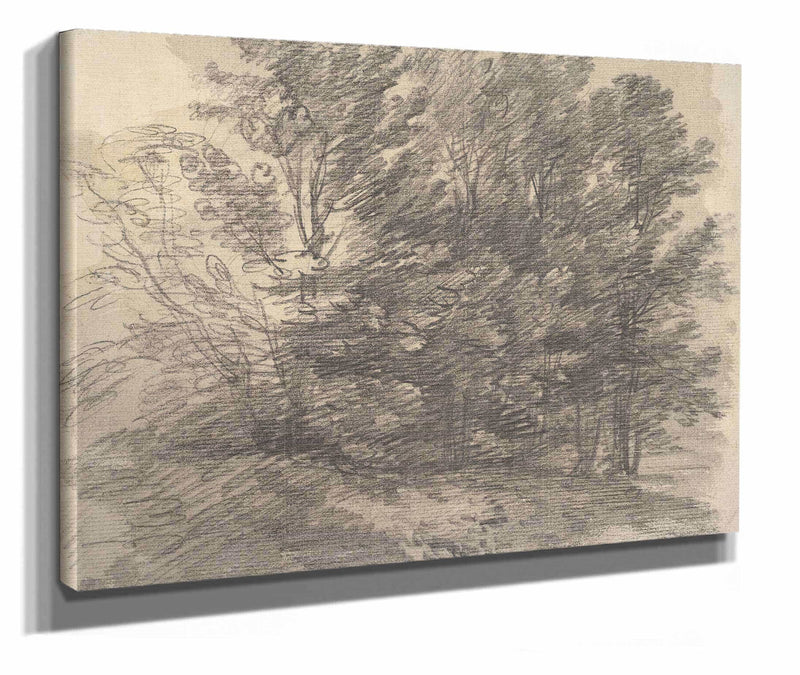 A Clump Of Trees by Thomas Gainsborough