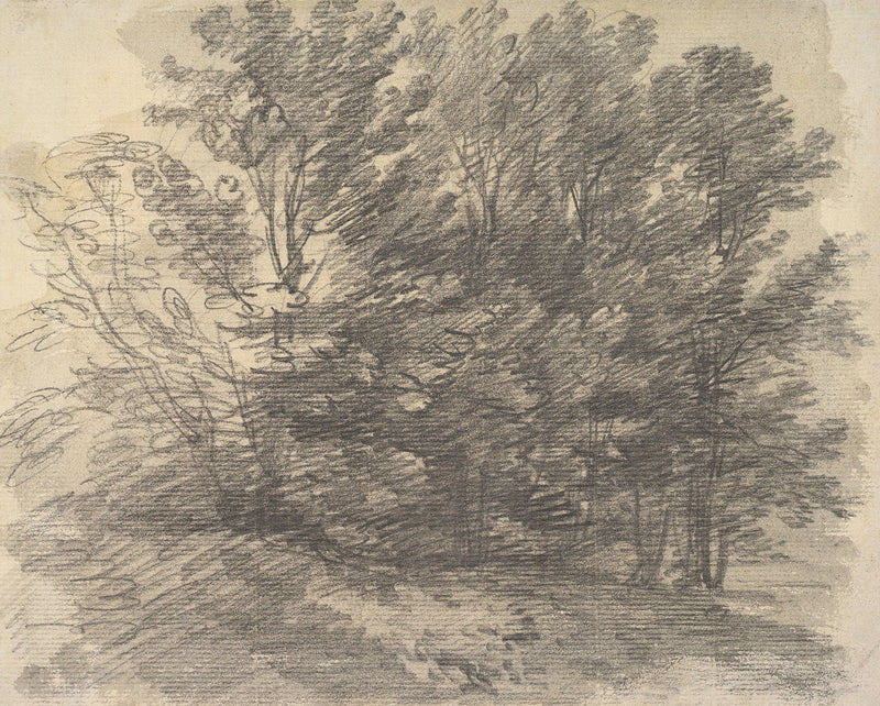 A Clump Of Trees by Thomas Gainsborough