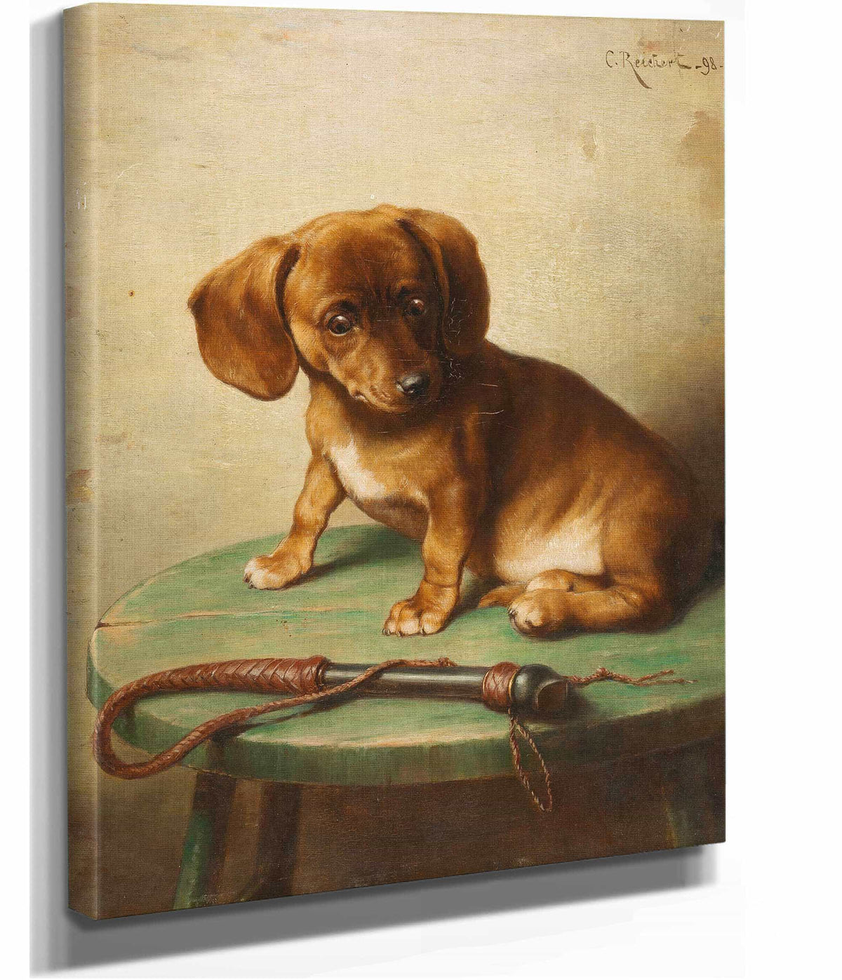 A Dachshund Puppy by Carl Reichert