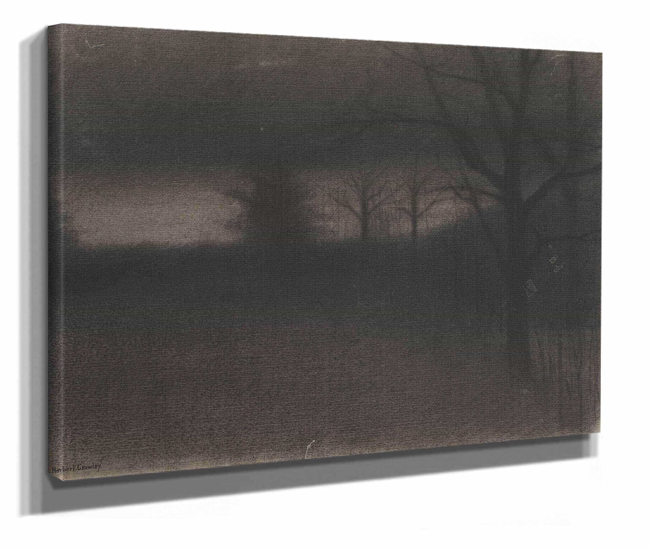 A Dark Landscape  by Herbert Crowley