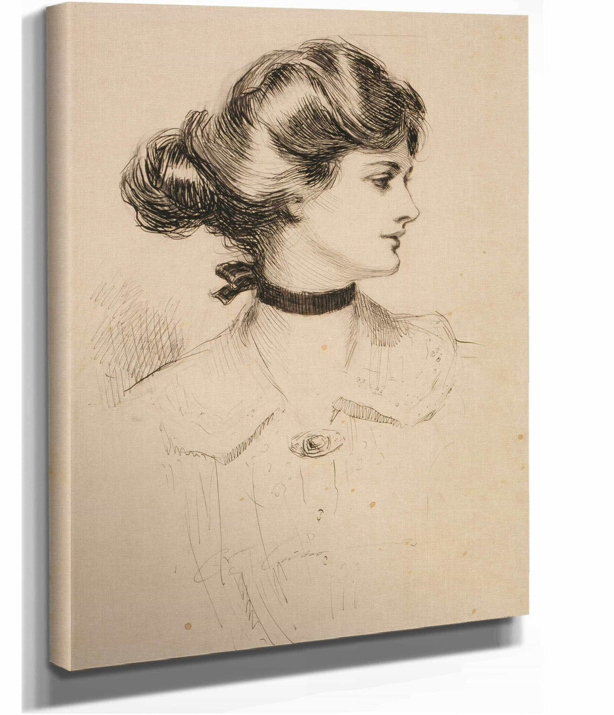 A Daughter Of The South by Charles Dana Gibson