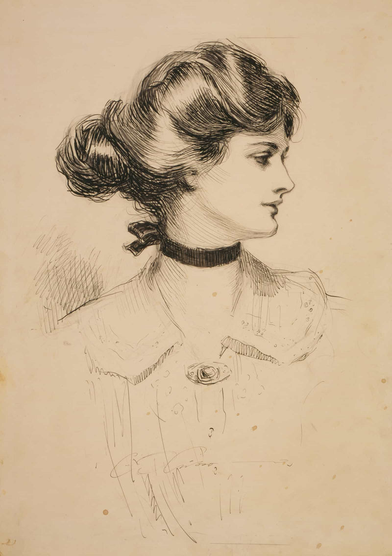 A Daughter Of The South by Charles Dana Gibson