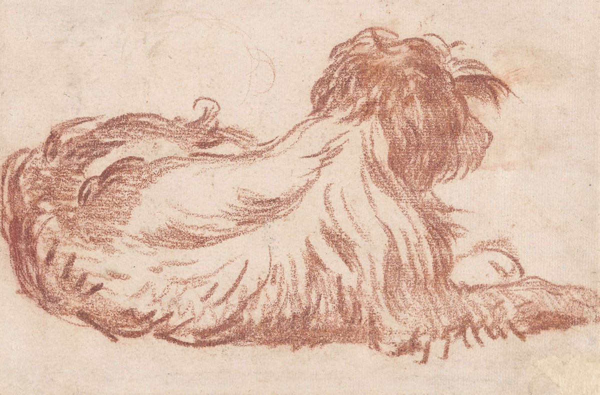 A Dog by Jean Baptiste Greuze