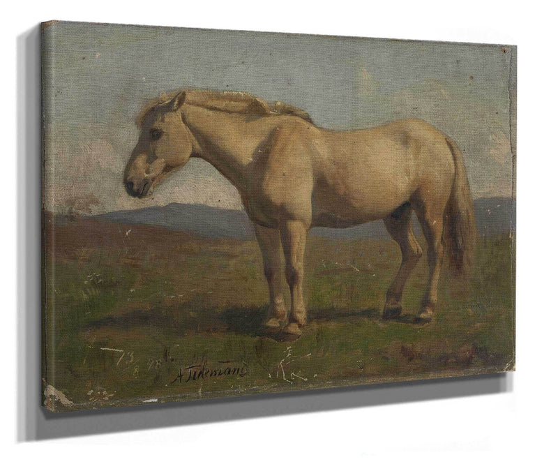 A Dun Horse by Adolph Tidemand