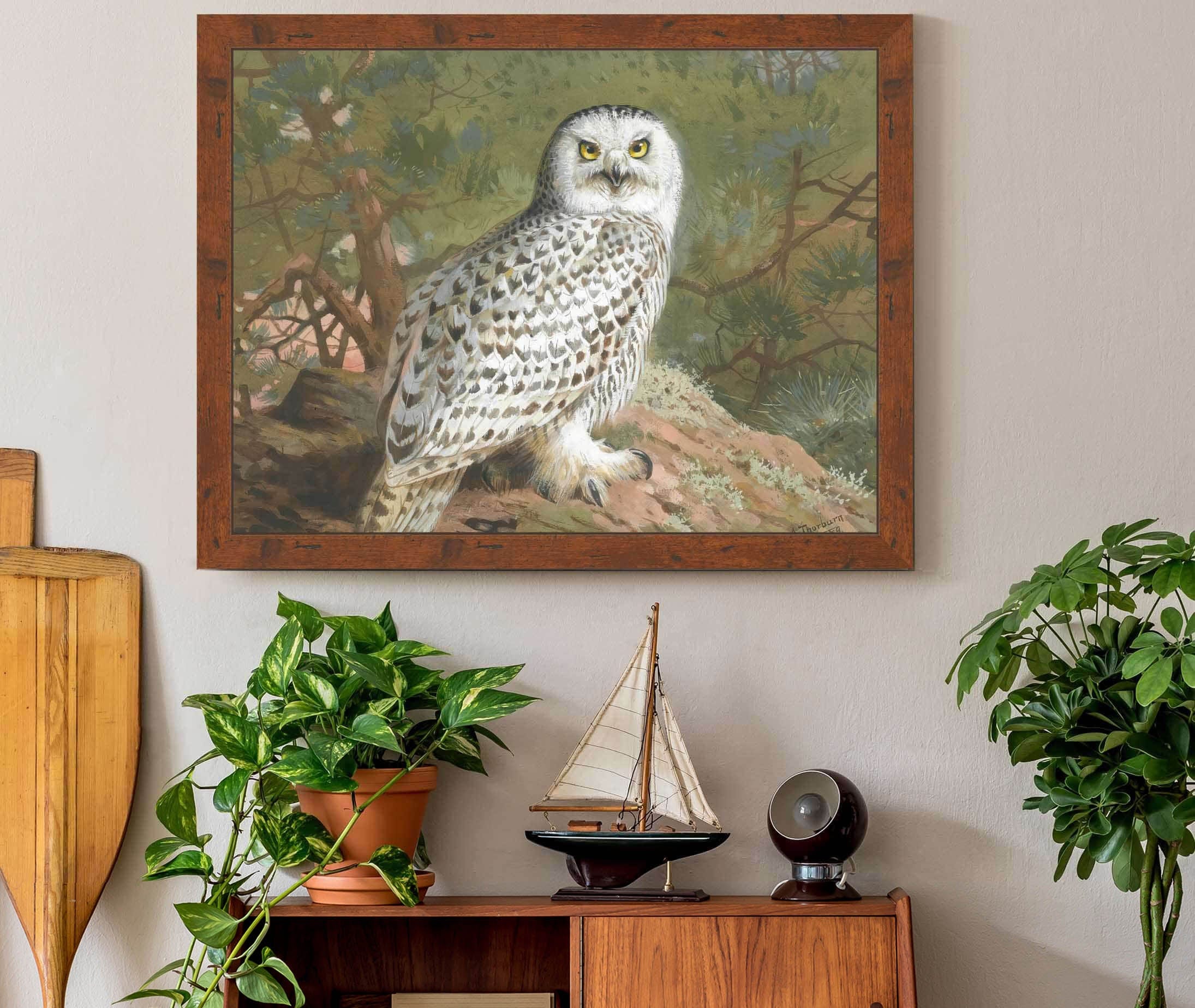 A Female Snowy Owl by Archibald Thorburn