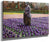 A Field Of Hyacinths, Holland By Walter Macewen