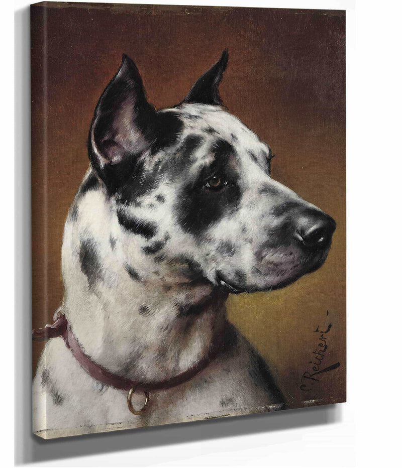 A Great Dane by Carl Reichert