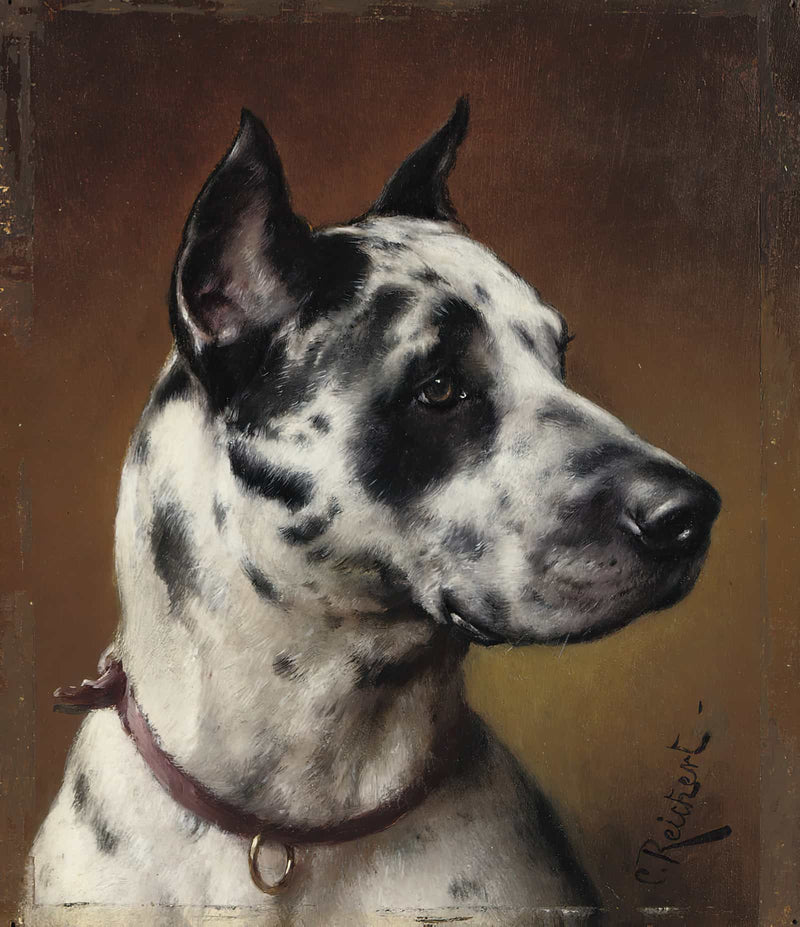 A Great Dane by Carl Reichert