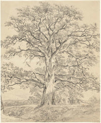 A Great Oak Tree by John Constable