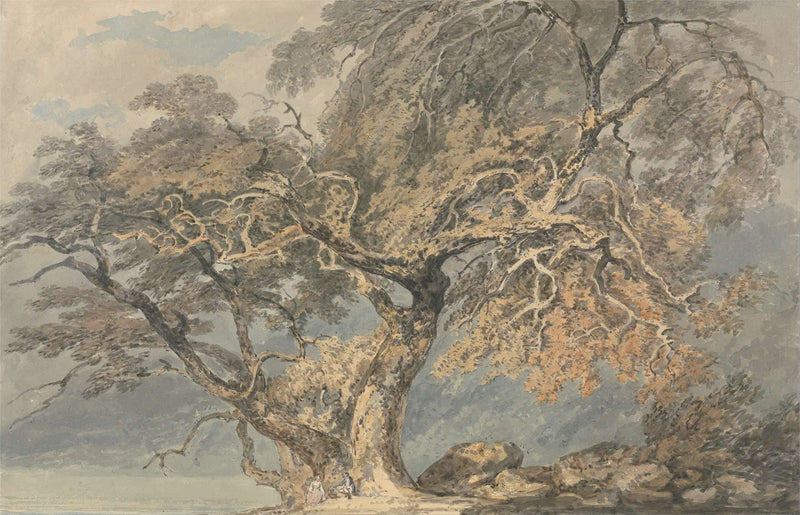 A Great Tree by Joseph Mallord William Turner