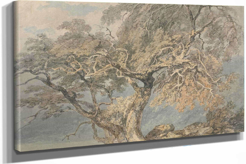 A Great Tree by Joseph Mallord William Turner