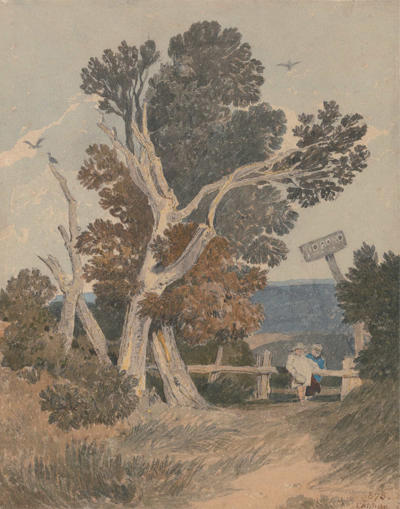 A Group Of Trees By A Fence by John Sell Cotman