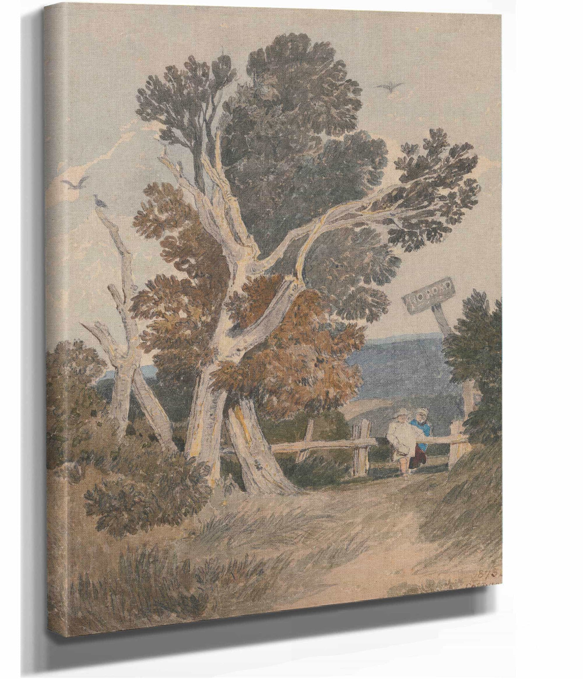 A Group Of Trees By A Fence by John Sell Cotman