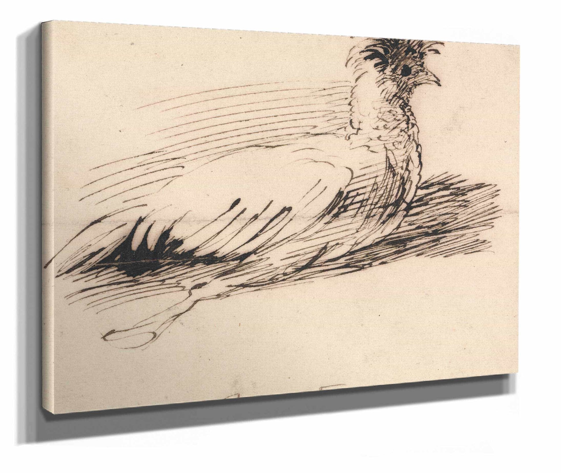 A Hen by John Linnell