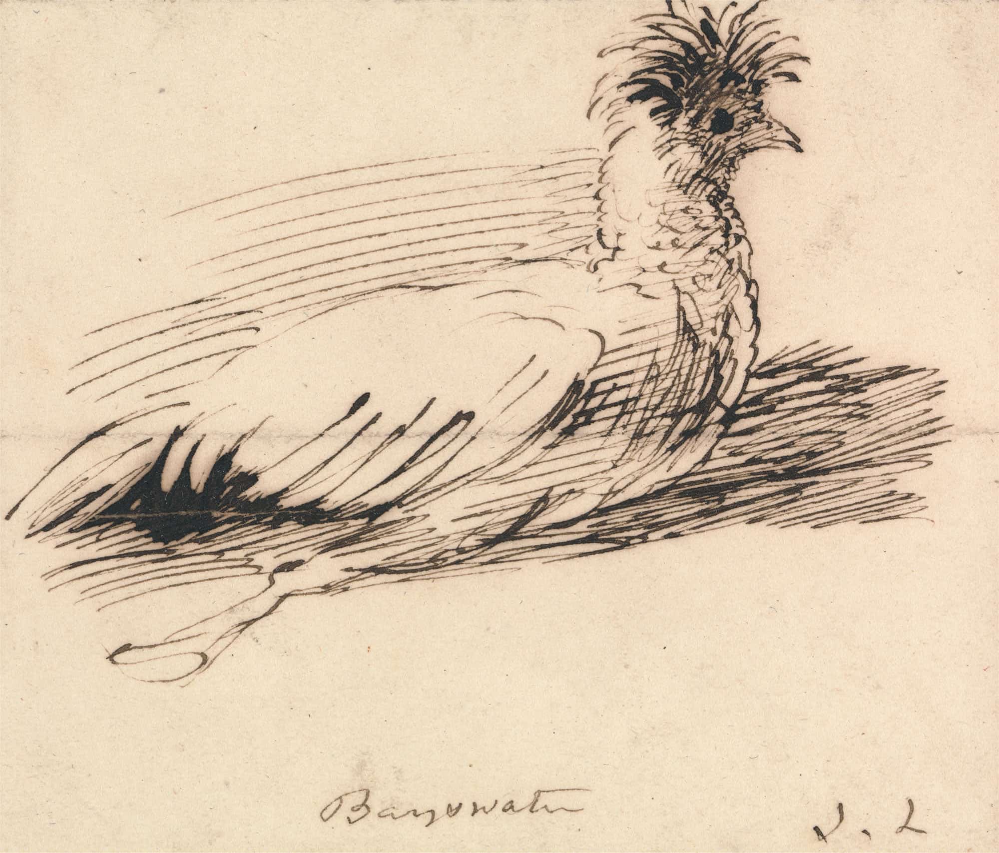 A Hen by John Linnell