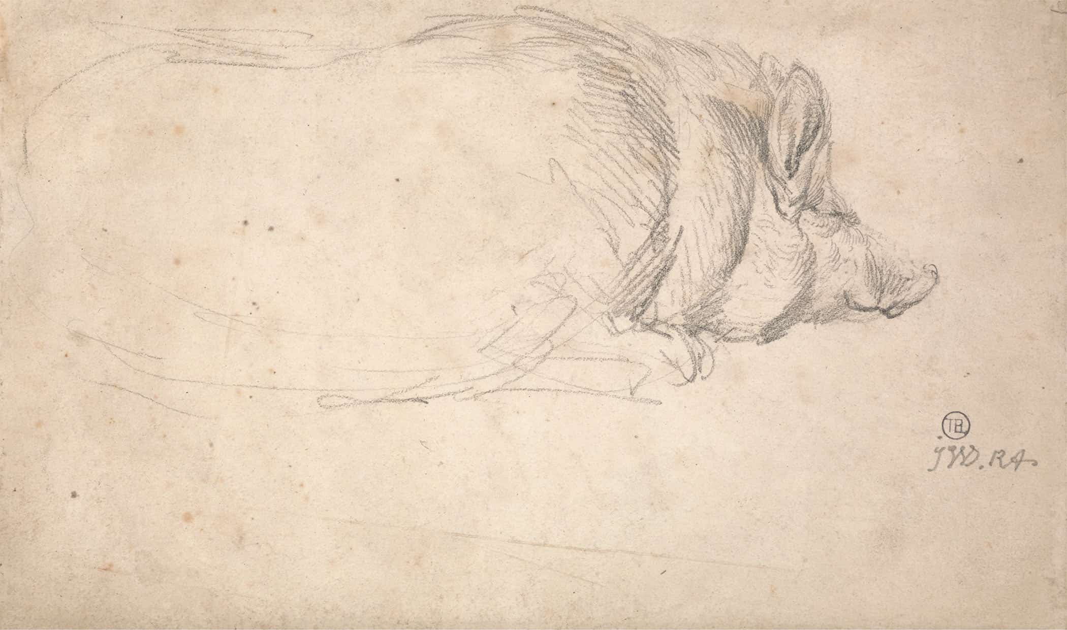 A Hog Sleeping by James Ward