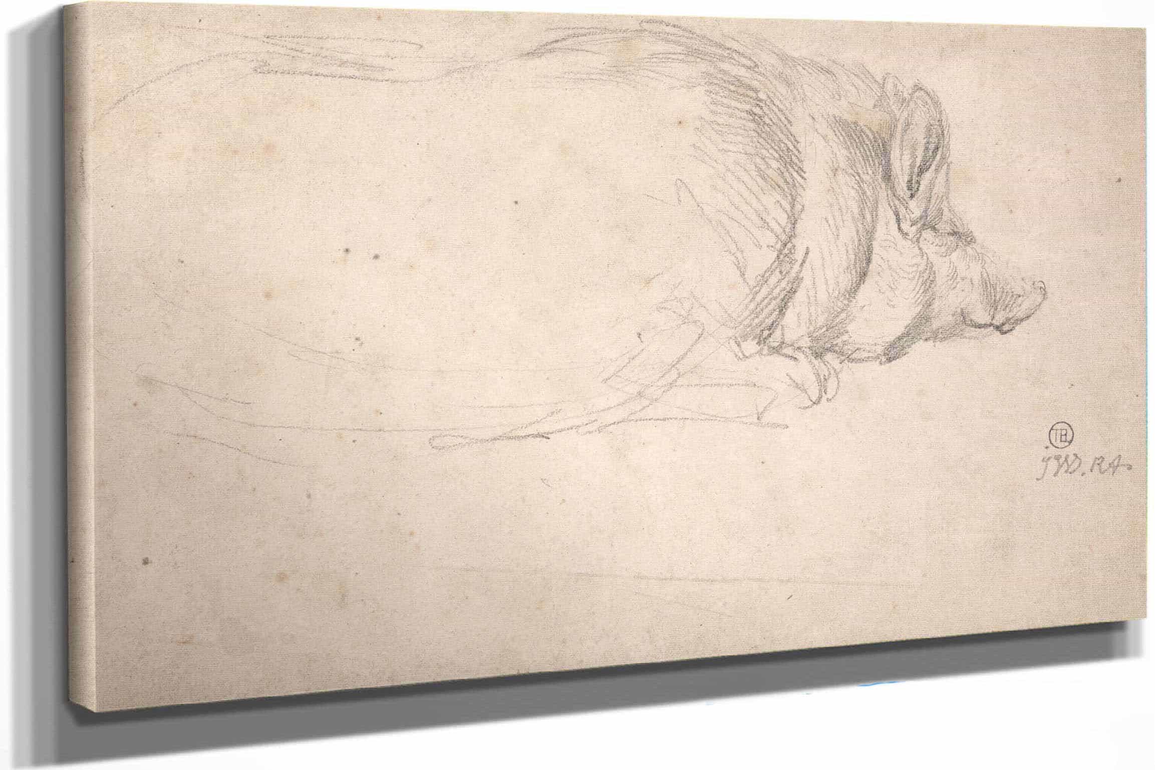 A Hog Sleeping by James Ward