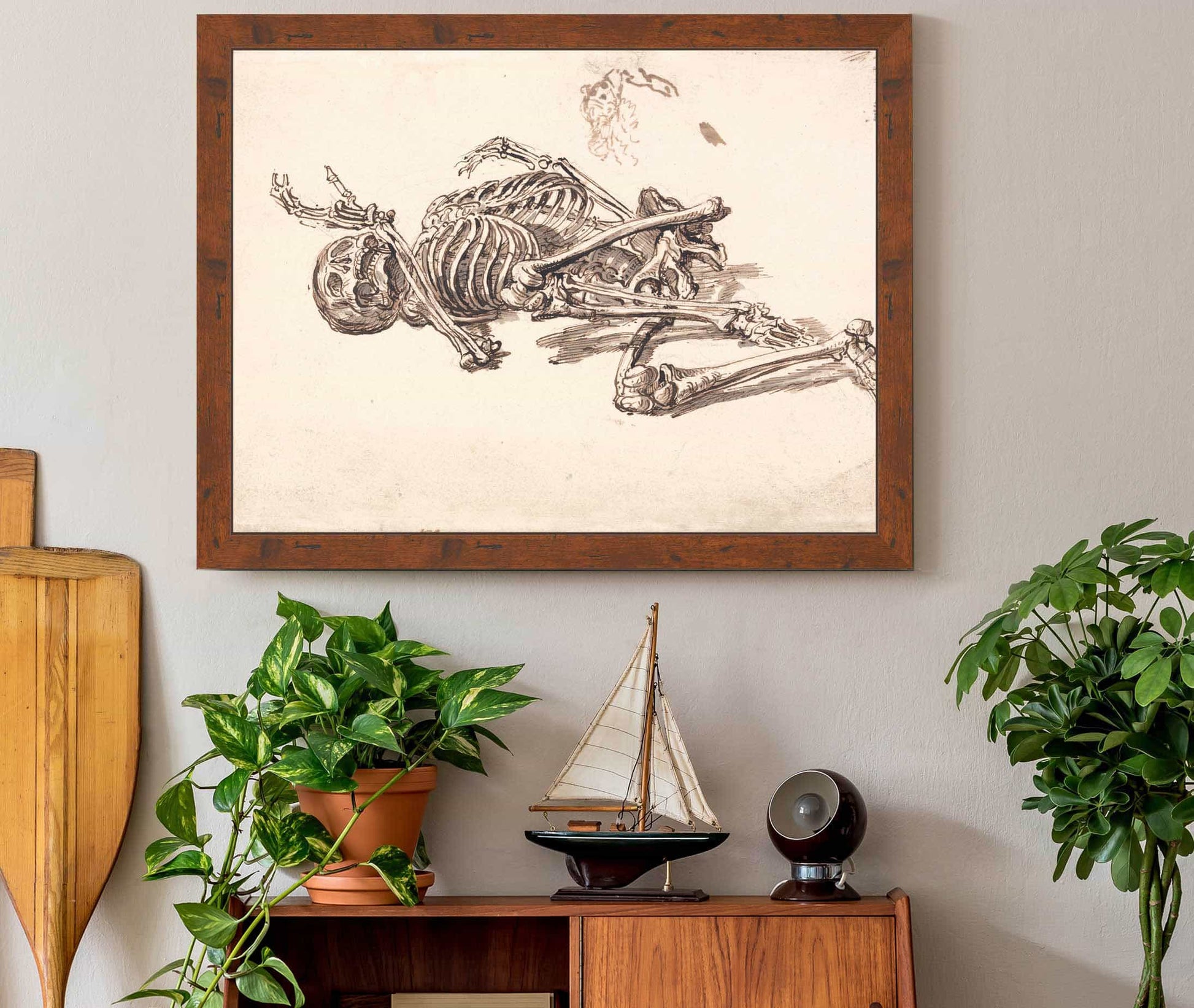 A Human Skeleton by James Ward