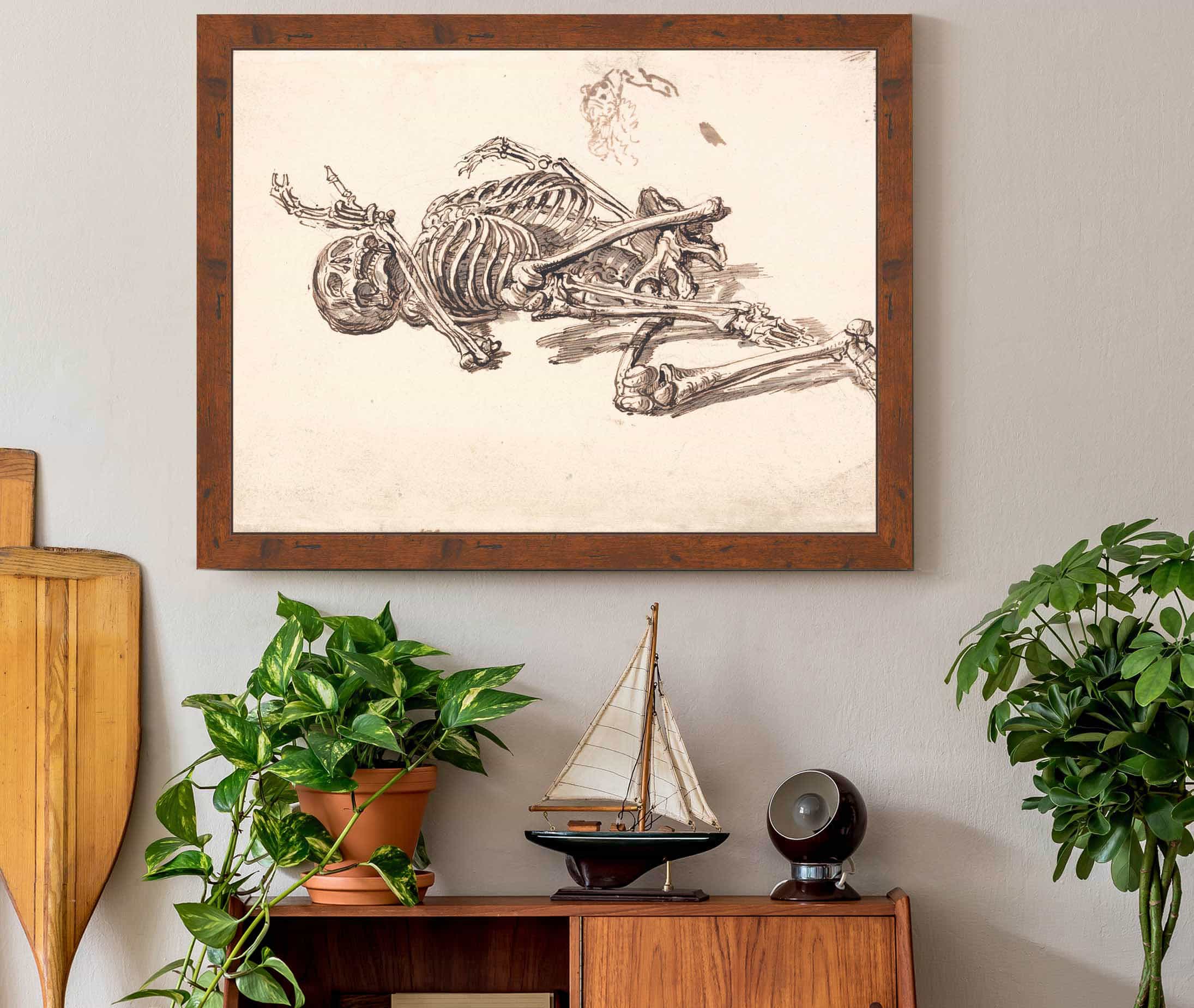 A Human Skeleton by James Ward