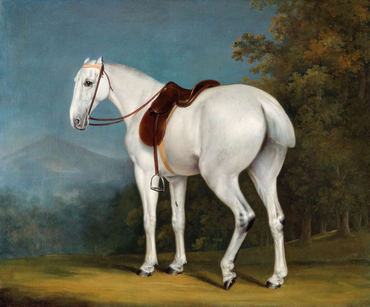 A Ladys Grey Hunter by Jacques Laurent Agasse
