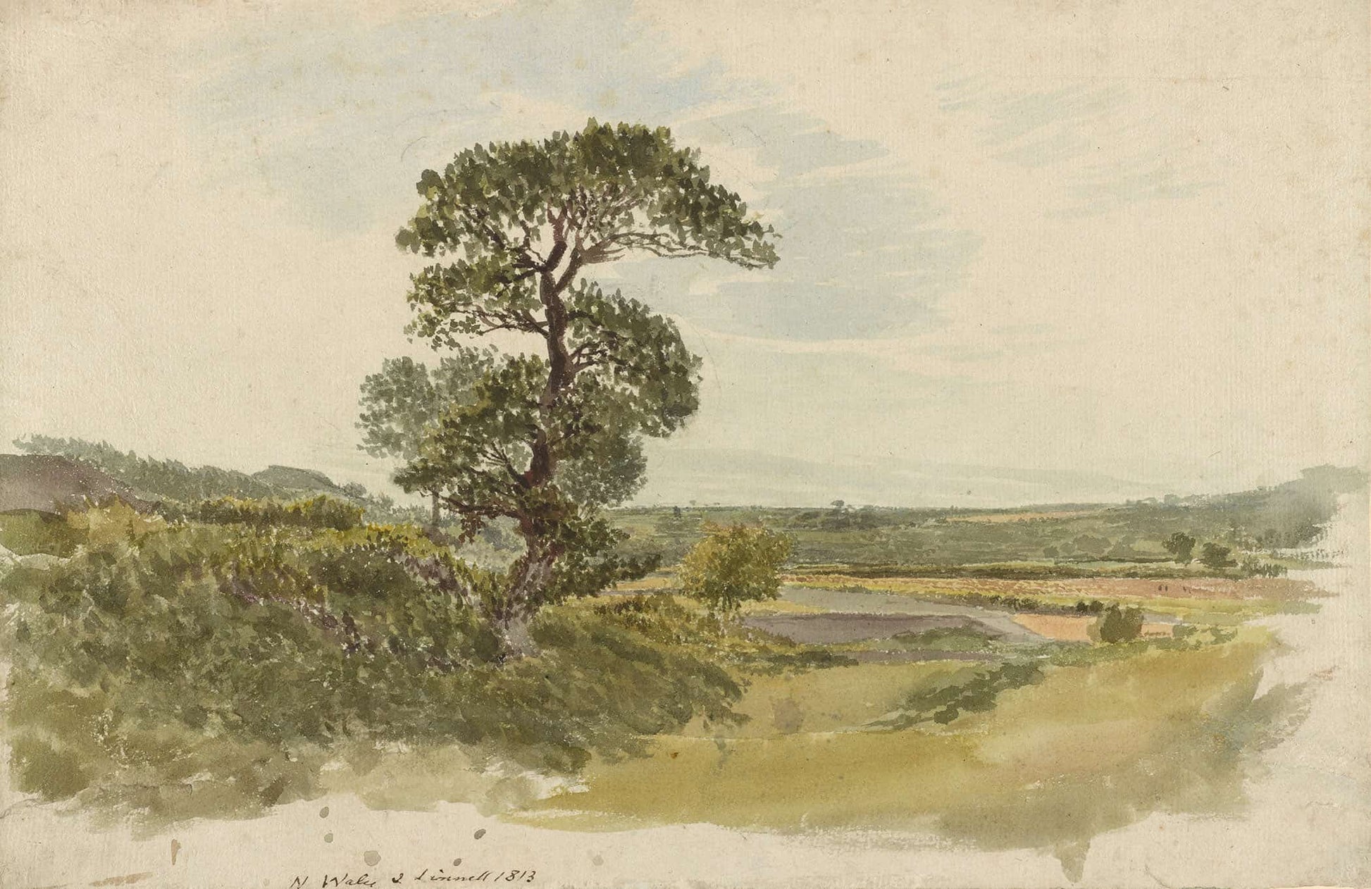 A Landscape In Snowdonia With A Tree In The Foreground by John Linnell