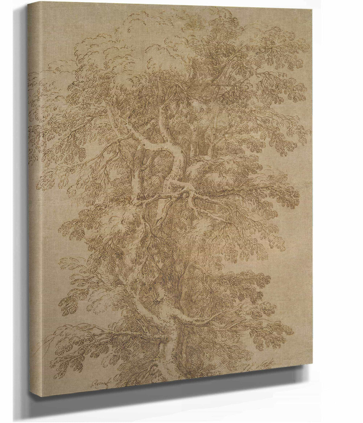 A Large Tree   by Salvator Rosa