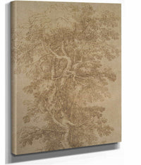 A Large Tree   by Salvator Rosa