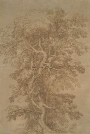 A Large Tree   by Salvator Rosa
