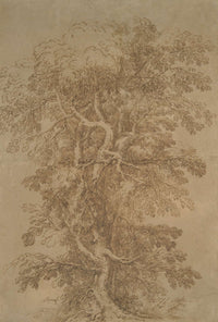 A Large Tree   by Salvator Rosa