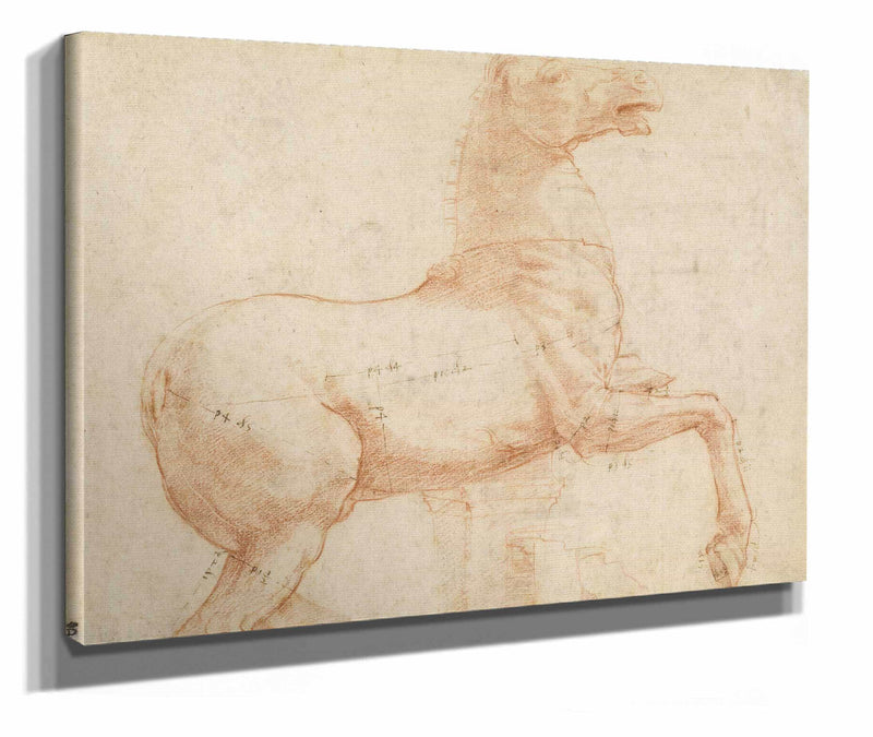 A Marble Horse On The Quirinal Hill Recto by Raphael