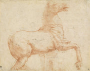 A Marble Horse On The Quirinal Hill Recto by Raphael