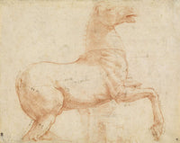 A Marble Horse On The Quirinal Hill Recto by Raphael