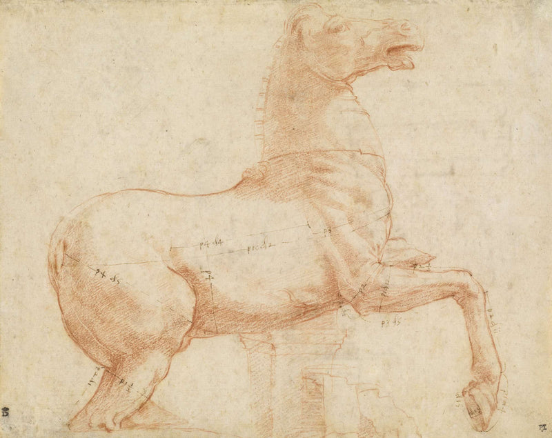 A Marble Horse On The Quirinal Hill Recto by Raphael