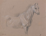 A Mare Possibly A Study For Lamour De Cheval by James Ward