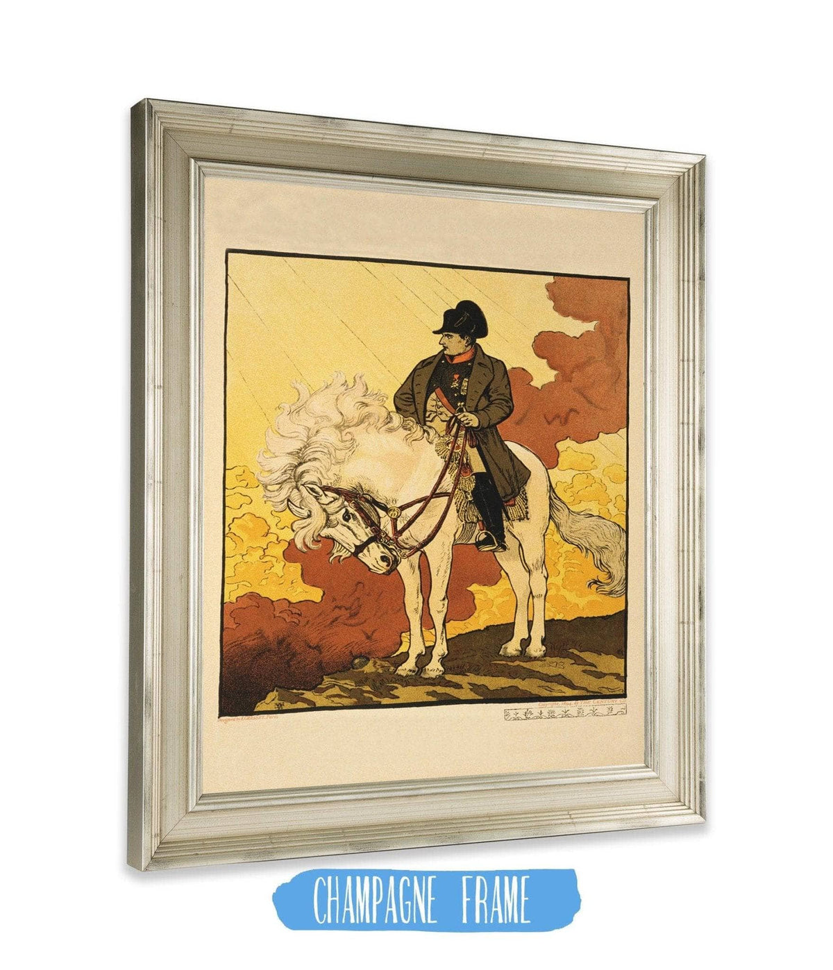 A New Life of Napoleon 1894