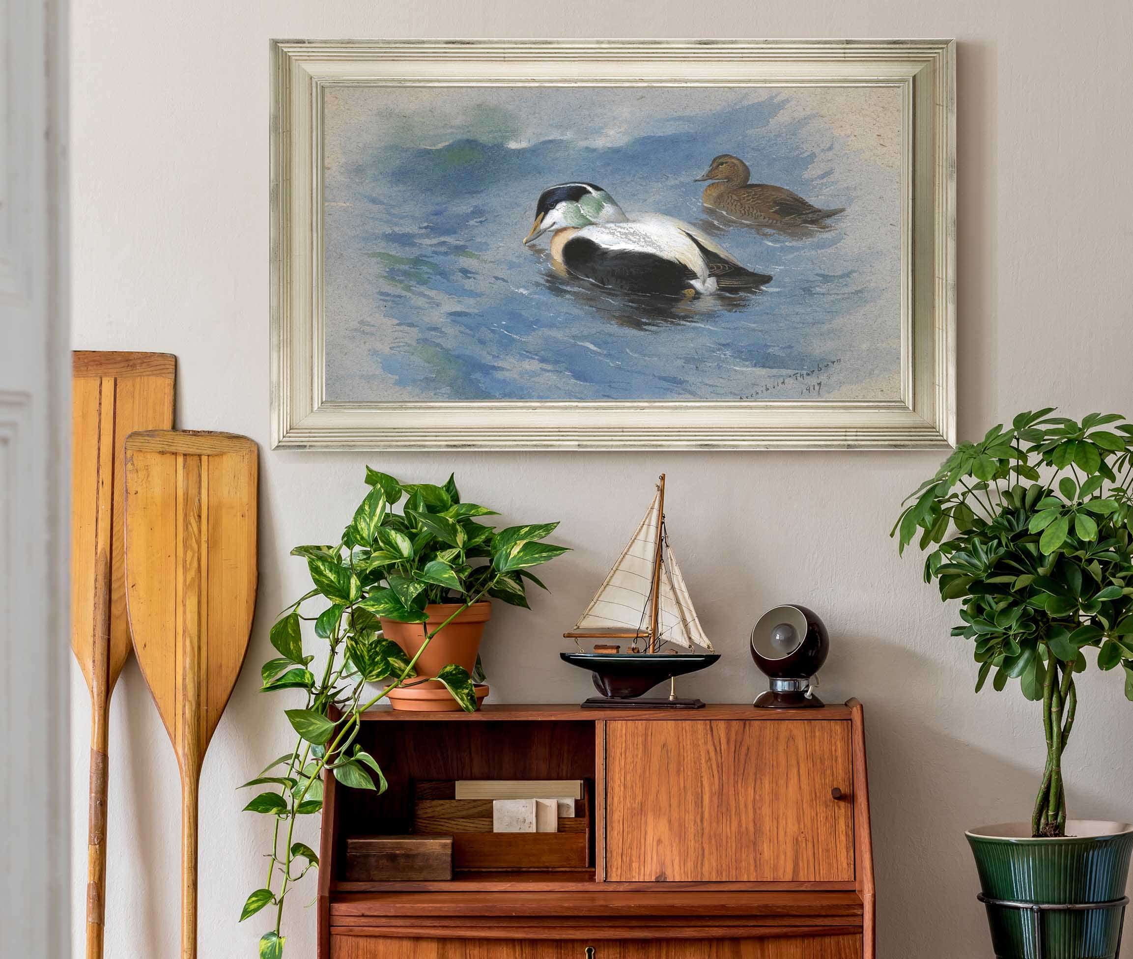A Pair Of Eider Ducks by Archibald Thorburn