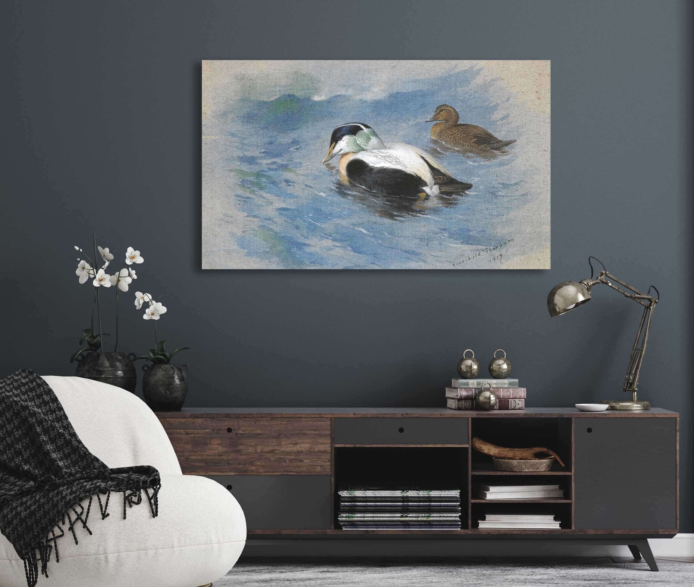 A Pair Of Eider Ducks by Archibald Thorburn