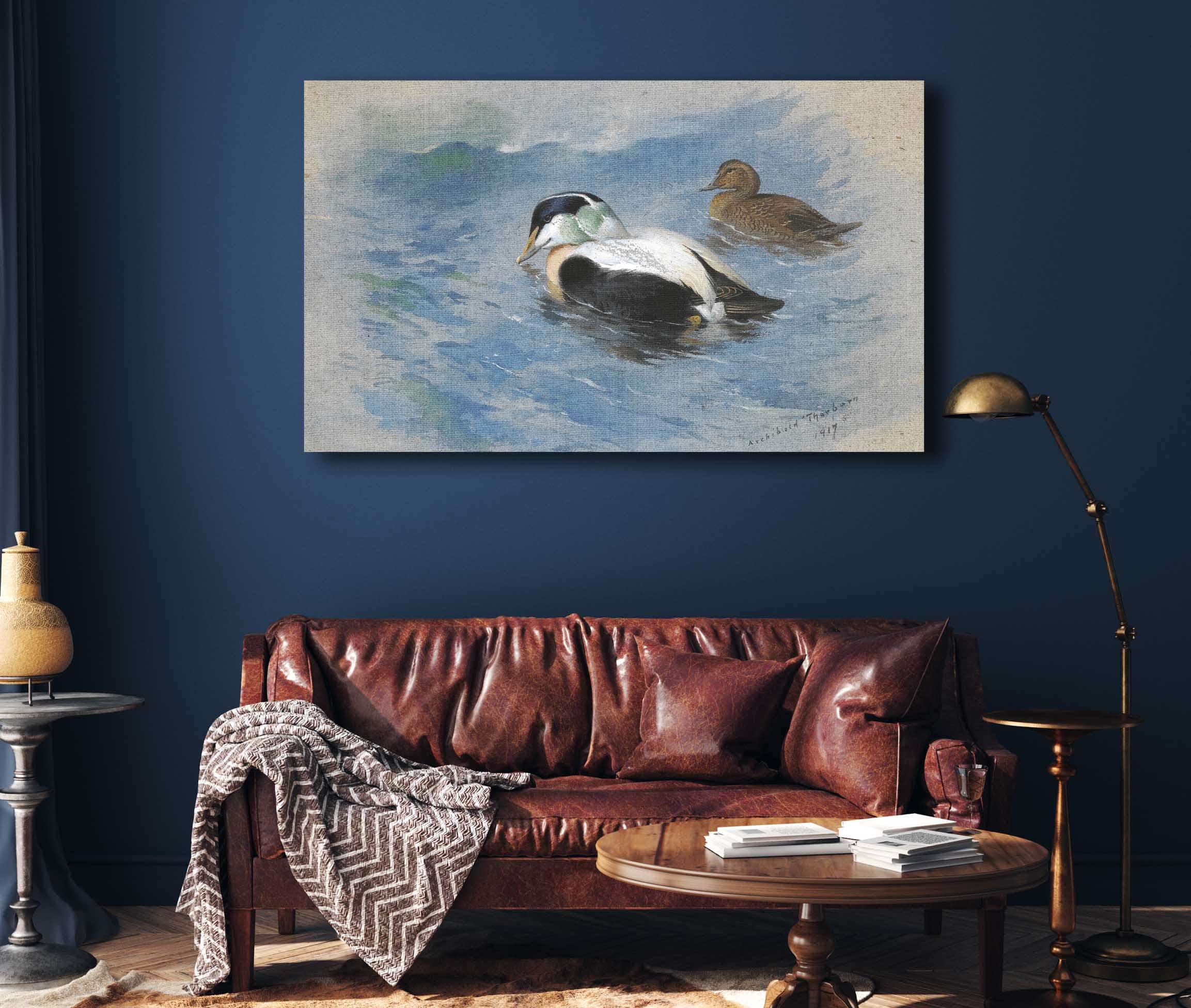 A Pair Of Eider Ducks by Archibald Thorburn