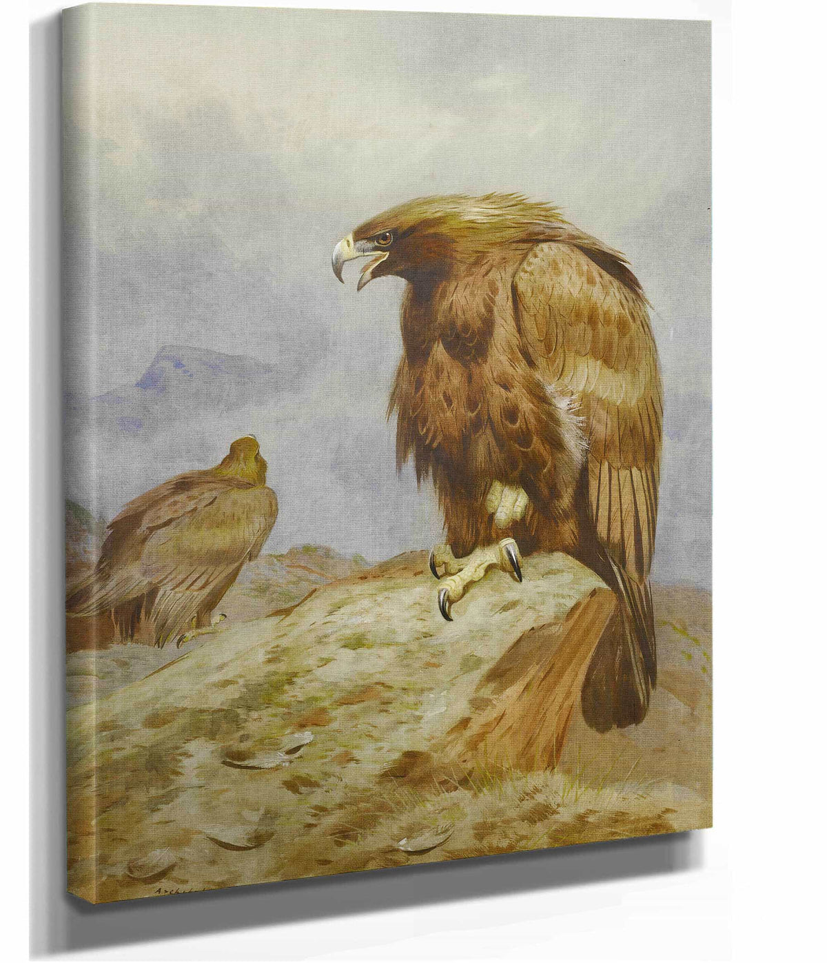 A Pair Of Golden Eagles by Archibald Thorburn