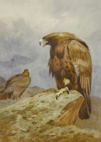 A Pair Of Golden Eagles by Archibald Thorburn