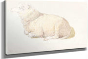 A Sheep Resting by James Ward