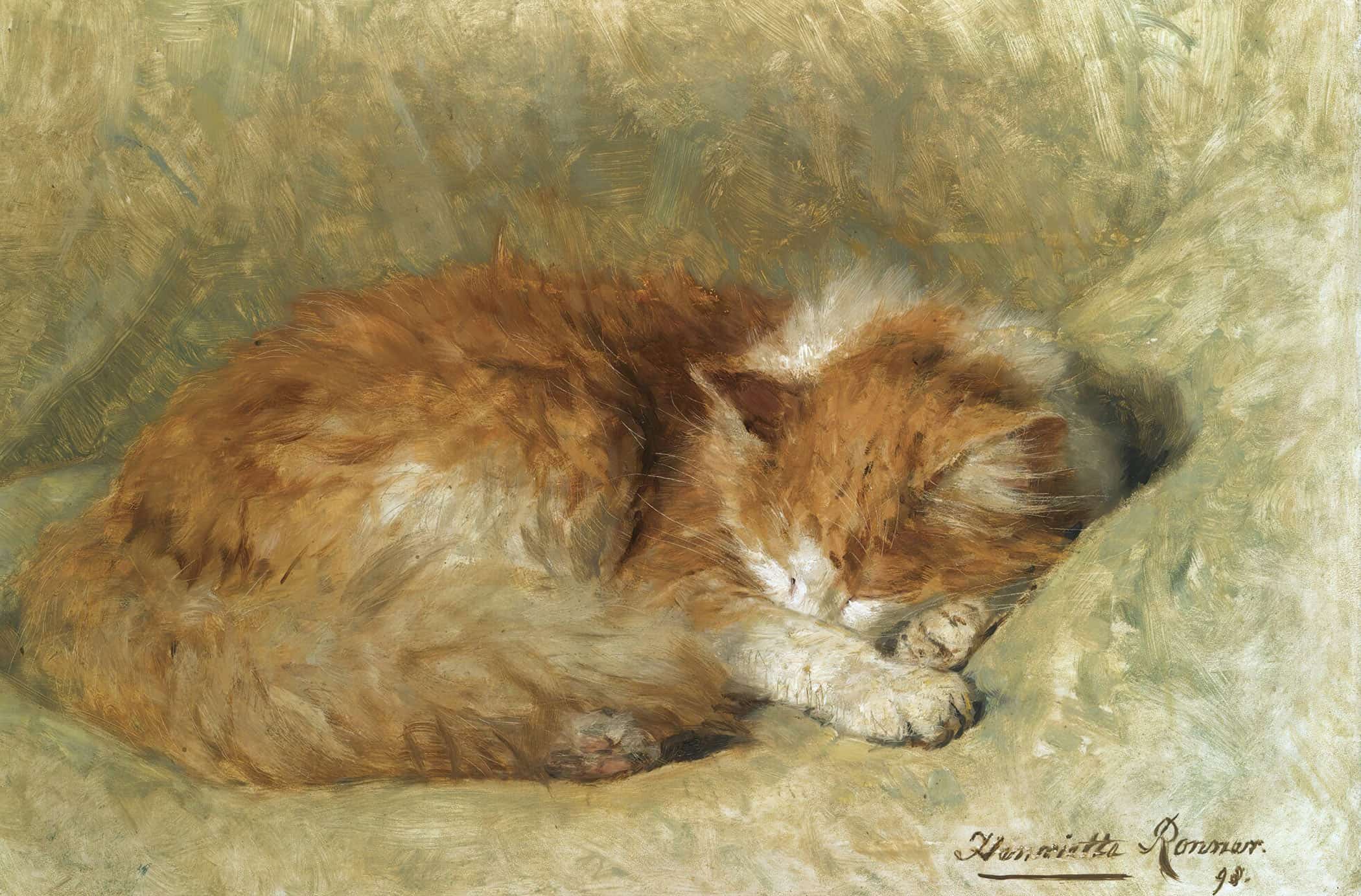 A Sleeping Cat by Henriette Ronner Knip