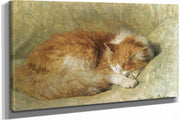 A Sleeping Cat by Henriette Ronner Knip