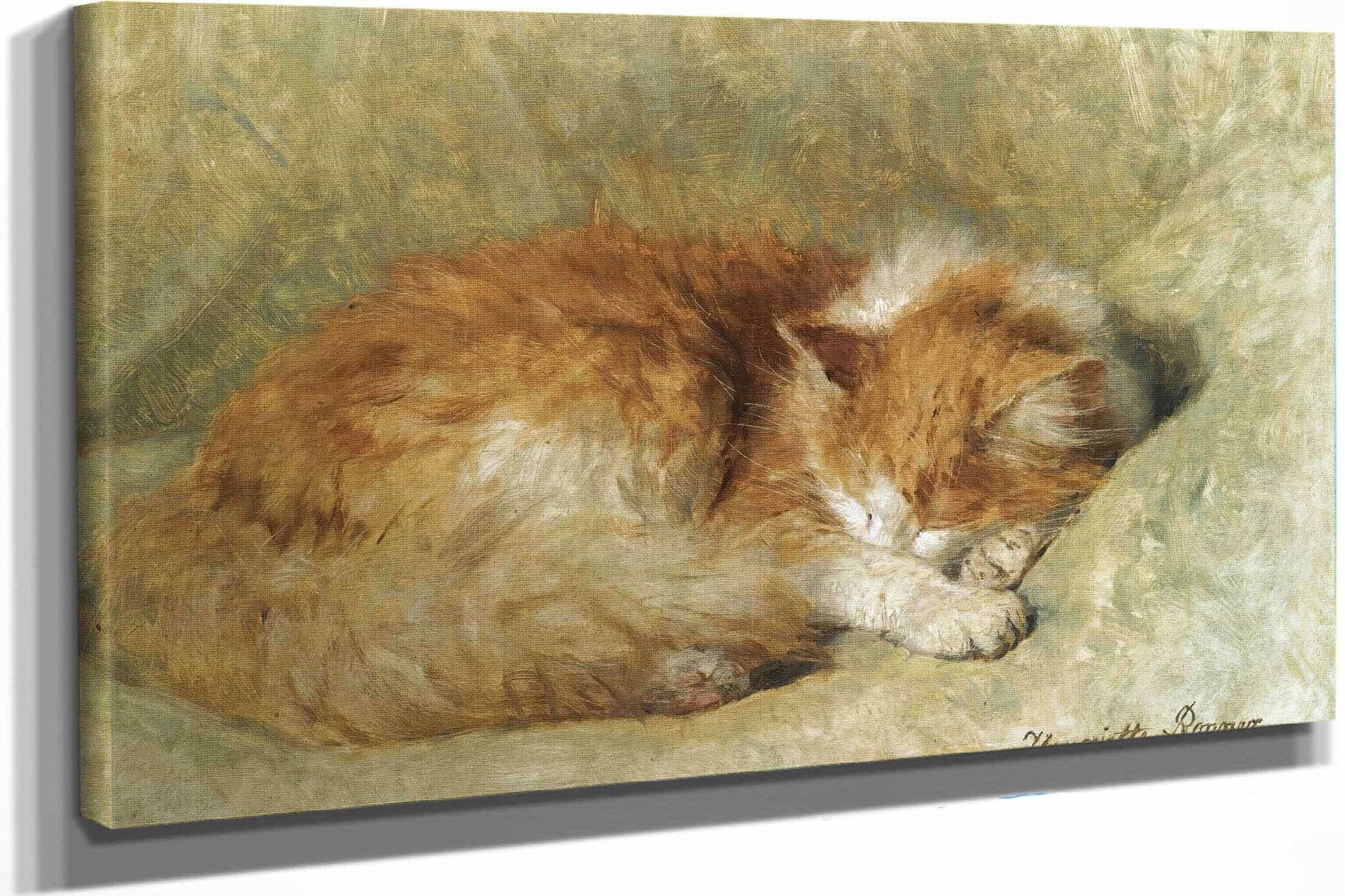 A Sleeping Cat by Henriette Ronner Knip