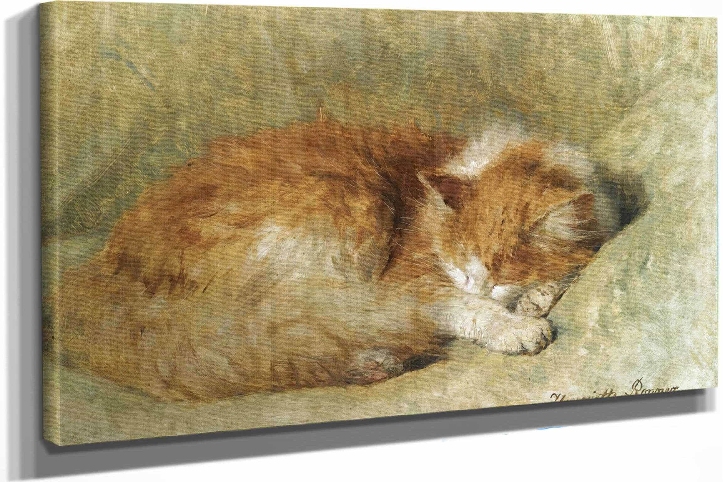 A Sleeping Cat by Henriette Ronner Knip